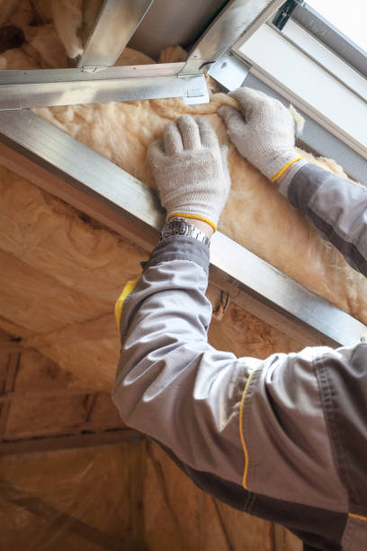 Best Commercial Insulation in North Lima, OH