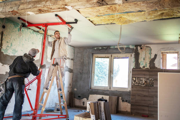 Best Insulation Installation Services in North Lima, OH